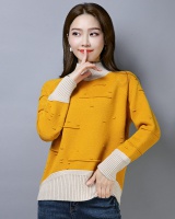 Loose sweater thick bottoming shirt for women